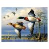 Flying Mallard Ducks Birds Paint By Numbers