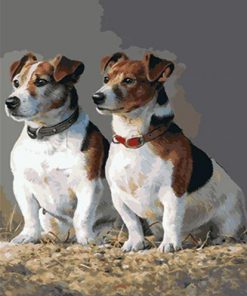 Jack Russell Dogs paint by numbers