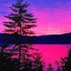 Purple Landscape NEW Paint By Numbers