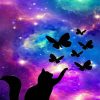 Cat Silhouette  NEW Paint By Numbers