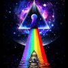 Pink Floyd Dark Side Of Moon NEW Paint By Numbers