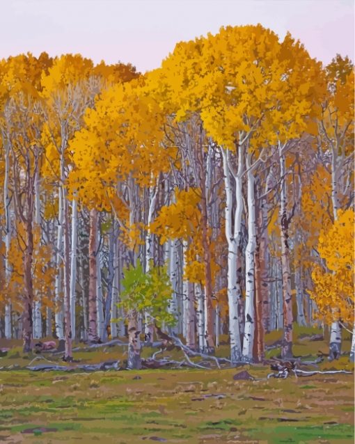 Birch Trees paint by numbers