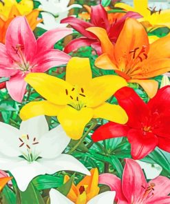 Colorful Lilies paint by numbers