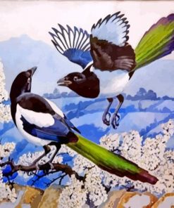 Magpies Birds Illusstration paint by numbers