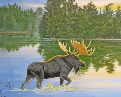 Wild Moose Paint by numbers