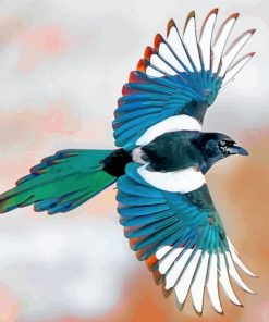 flying magpie paint by numbers