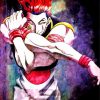 Hisoka Hunter x Hunter paint by numbers