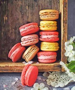 Tasty Macaroons paint by numbers