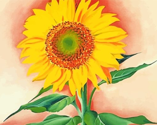 A Sunflower From Maggie George O Keefee paint by numbers