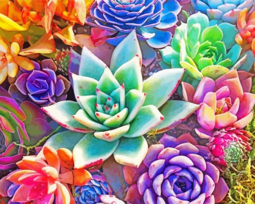 Aesthetic Succulents paint by numbers