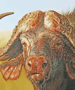 African Buffalo paint by numbers