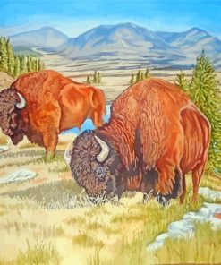 Aesthetic Bison Grazing paint by numbers