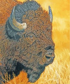 Bison Head paint by numbers