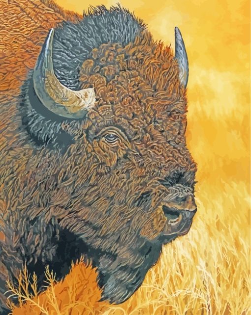 Bison Head paint by numbers