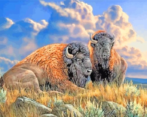 Bison Animals paint by numbers