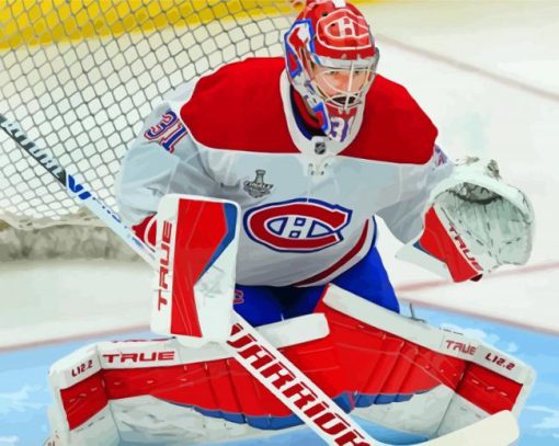 Carrey Price From Habs paint by numbers