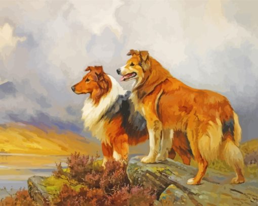 Collie Dogs paint by number