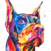 Colorfull Doberman Head paint by numbers