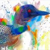 Colorful Loon paint by numbers