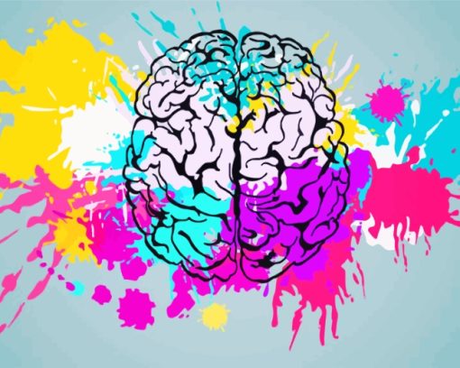 Colorful Splash Humain Brain paint by numbers