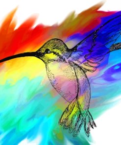 Colorful Hummingbird Art Paint by numbers