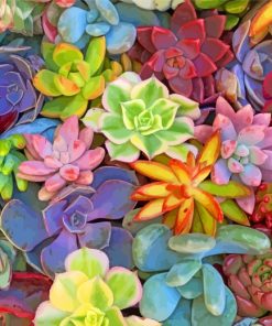 Aesthetic Succulents Plants paint by numbers