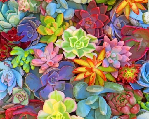 Aesthetic Succulents Plants paint by numbers