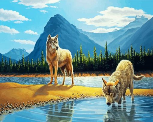 Coyote Drinking Water paint by numbers