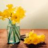 Daffodil In Glass Jar paint by number