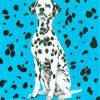 Dalmatian Dog paint by numbers