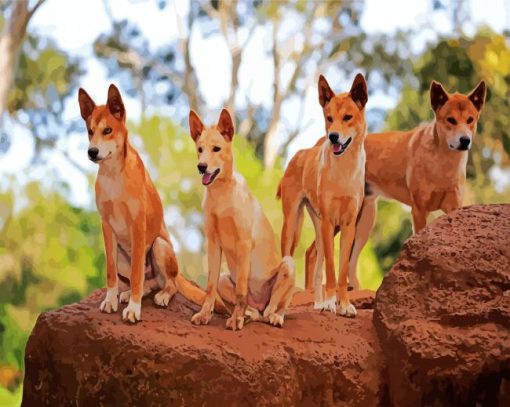 Dingos paint by numbers