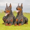 Two Doberman Dogs paint by numbers