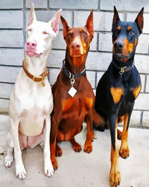 Dobermans paint by number