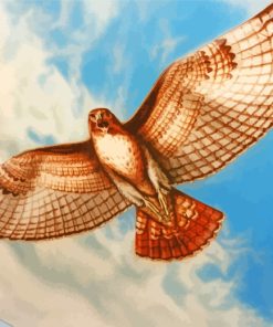 Flying Hawk Bird paint by numbers