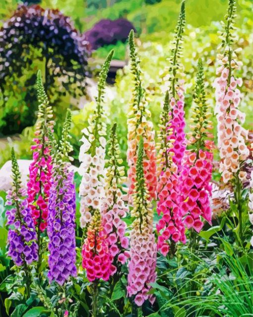 Foxglove Flowers paint by numbers