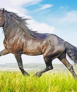 Friesian Horse Animal paint by number