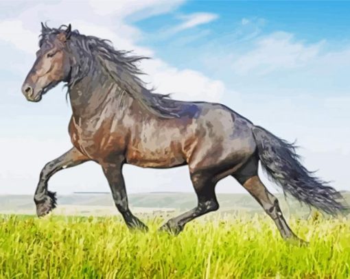 Friesian Horse Animal paint by number