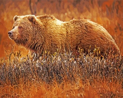 Grizzly Bear paint by numbers