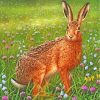 Hare In Meadow paint by numbers