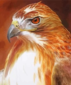 Brown Hawk Bird paint by numbers