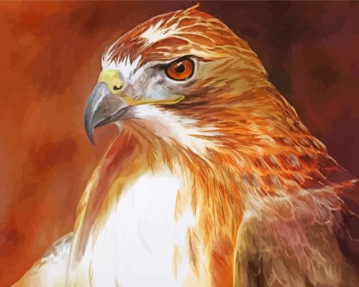 Brown Hawk Bird paint by numbers