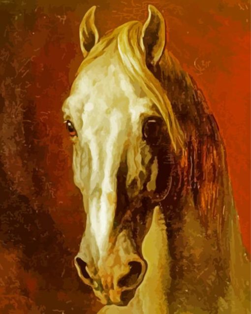 Head Of A White Horse Theodore paint by numbers