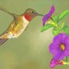 Hummingbird In Purple Flower paint by numbers