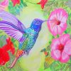 Hummingbird On Flowers paint by numbers