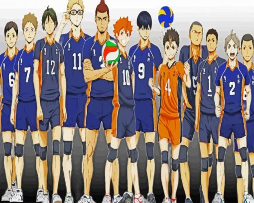 Karasuno High Haikyuu paint by numbers