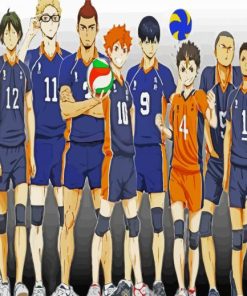 Karasuno High School Anime paint by numbers