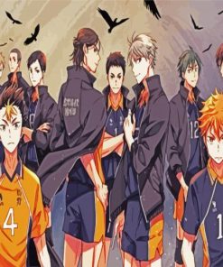 Karasuno High School paint by numbers