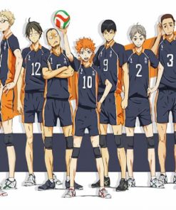 Karasuno paint by numbers