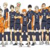 Karasuno Haikyuu paint by numbers