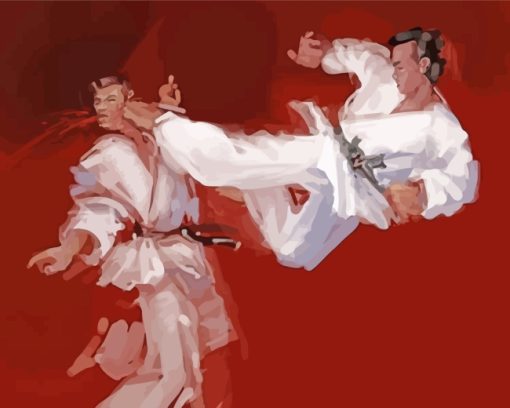 Karate Players Art paint by number